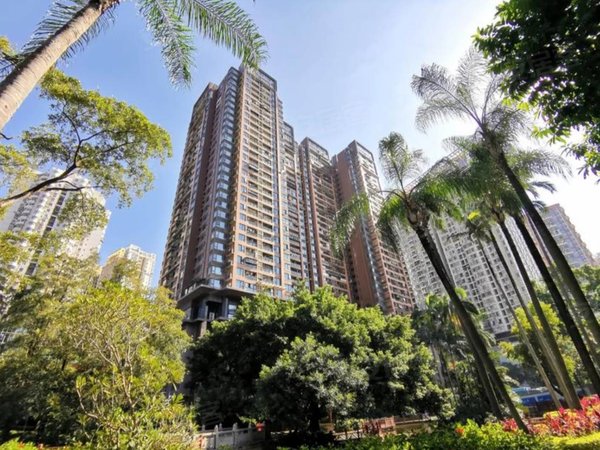 深圳罗湖东门天玺1号天玺一号厅出阳台3房,只租8000,深圳中学旁出租