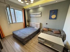 西安雁塔雁环中路三爻地铁城南客运站欧亚学院整租一室一厅可月付可短租出租房源真实图片
