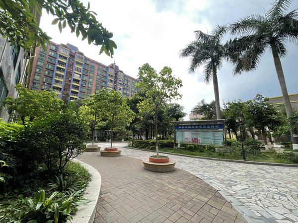 【多图】东港花园,文冲租房,东港花园 2室2厅1卫 70平 精装修,黄埔