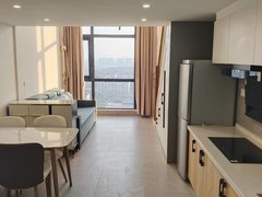 蚌埠蚌山新城区银泰百货旁，奥园广场Loft，朝南全天采光，品质精装，拎包住出租房源真实图片