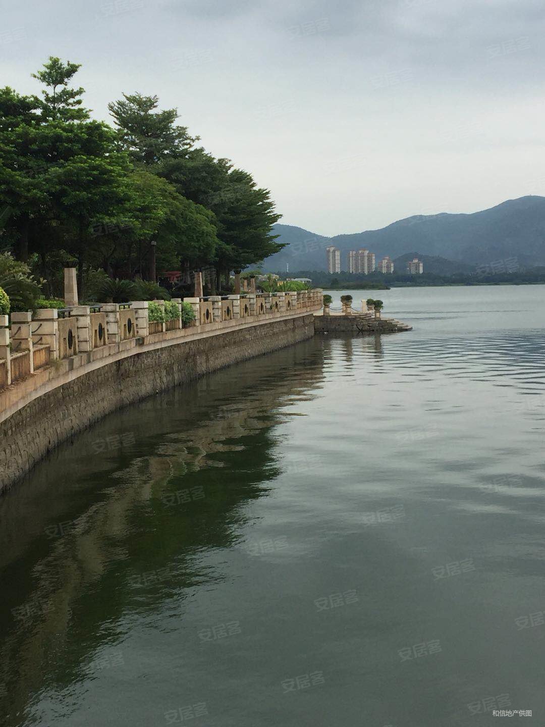 湖景壹号庄园(别墅) 天花板 湖边  排 圈层身份的象征