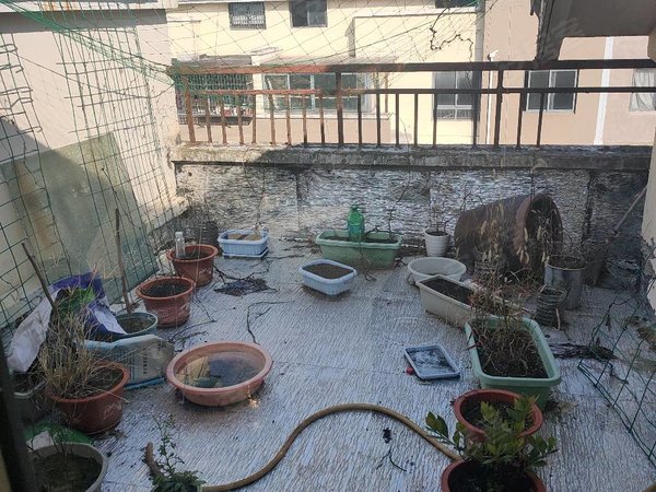 湖州吴兴八里店镇杏花苑多层复式,4房2卫,拎包入住,免费停车,免物业费。出租房源真实图片