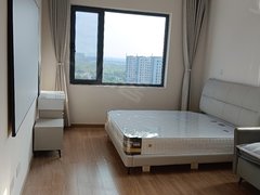 安阳文峰中环百货安阳市华强新天地一室一厨一卫公寓，无中介F，拎包入住押一付一出租房源真实图片