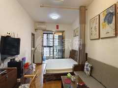 三明三元列东海翼中央领域 单身公寓 47平 精装修 电梯房出租房源真实图片