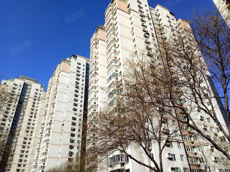 滨河花苑3室2厅1卫110.85㎡南北110万