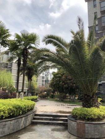 【多图】武湖 地铁旁 愉景湾精装两房 急售-龙慧店铺-武汉安居客