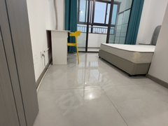 合肥新站陶冲湖只租新店西苑独立卫生间出租出租房源真实图片