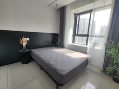 苏州吴中郭巷尹山湖 一室一厅燃气卫浴 干湿分离 短租 近天运 追觅 立讯出租房源真实图片