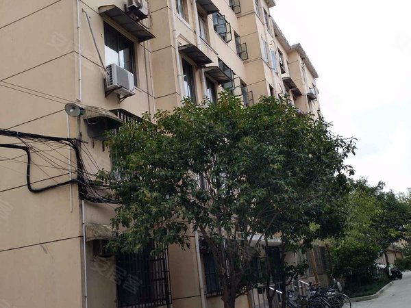 上海徐汇华东理工梅陇三村梅陇三村,双南精装两房一厅,干净清爽,近