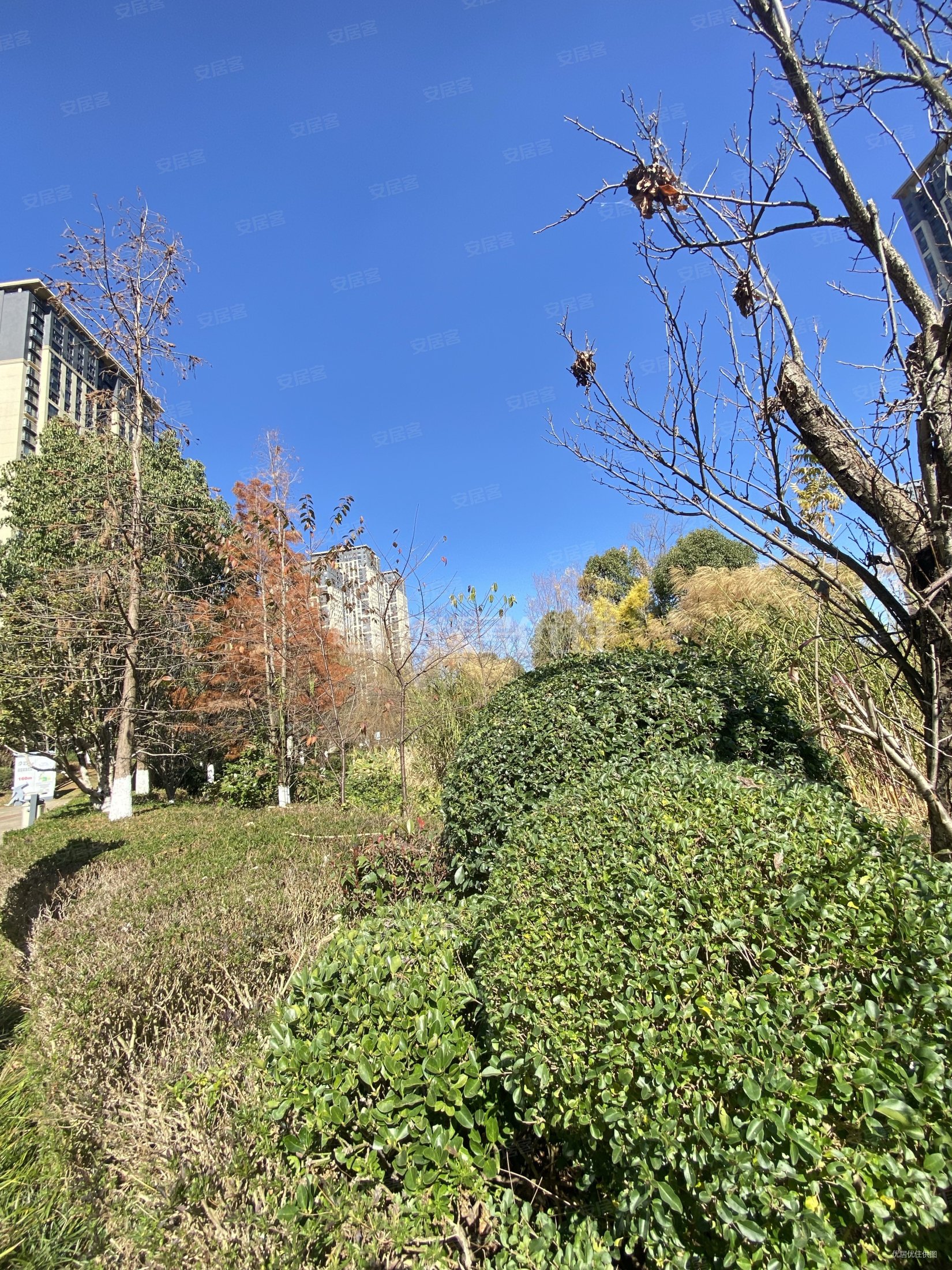 朝向西南89平3室俊发城芙蓉苑楼层好视野无遮挡