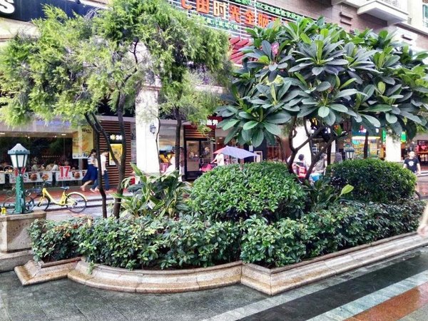 深圳南山西丽新华大厦(二期)西丽366大街,新围村新华大厦,电梯超大