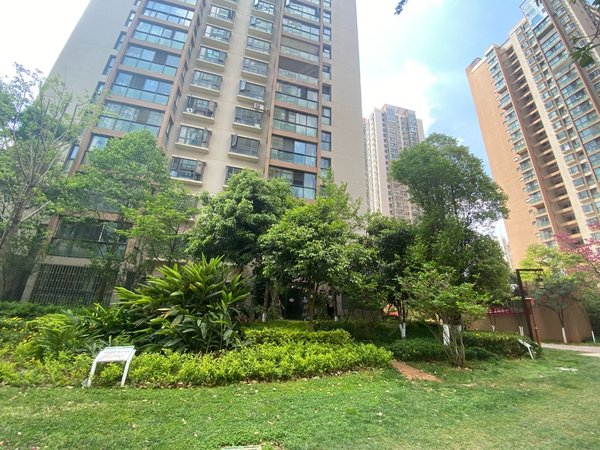 昆明西山大商汇润城2区万达旁润城二期,温馨两室,拎包入住,电梯房