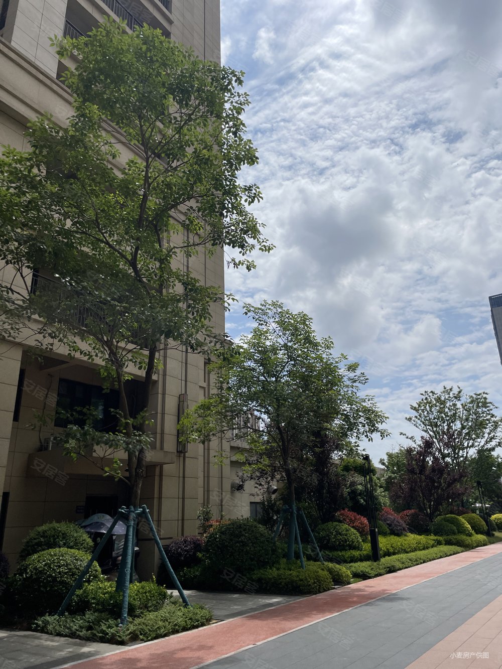 金峰世茂小洋楼4房2厅2卫 135万