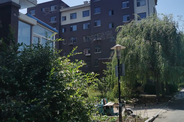 东田青年城,新月路1号-长春东田青年城二手房,租房-长春安居客