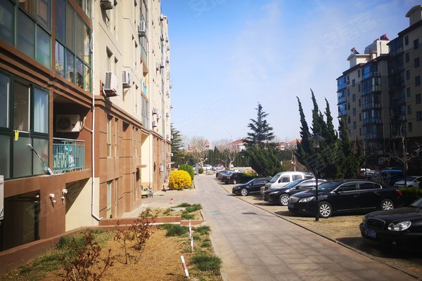 烟台二手房 黄海城市花园 > 林泽民解读黄海城市花园生活配套