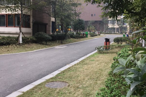 内江小区 隆昌小区 北关小区 蜀隆首座