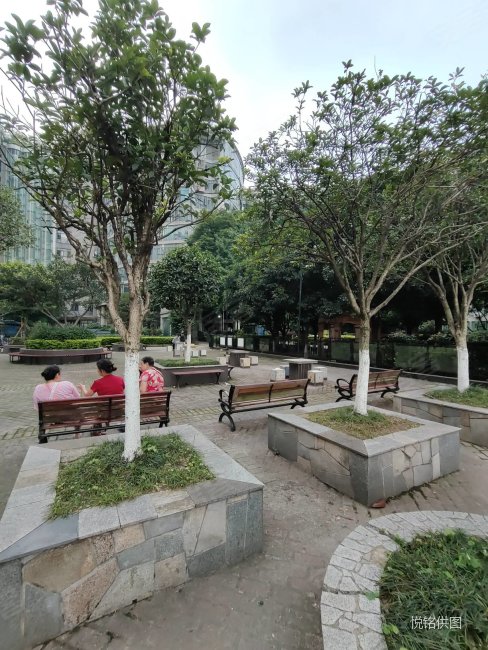 必看特价房,钱塘玫瑰湾,地铁房,精装大两房,拎包入住.