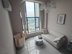 长沙星沙开元路新新城悦隽，豪华装修高挑一房出租房源真实图片