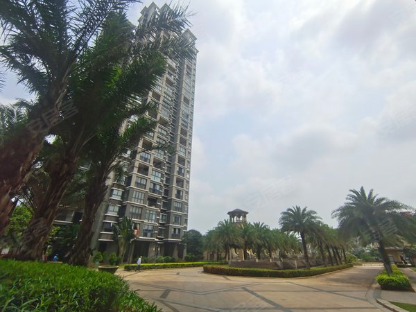 澄迈老城老城城区南海之滨美安科技新城旁 南海之滨 生活交通方便 篮球场 出入方便出租房源真实图片