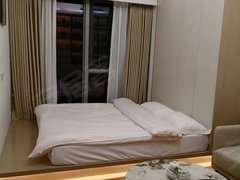 汕头濠江濠江城区南滨绿地中心 1室1厅1卫 精装修 43平 电梯房出租房源真实图片