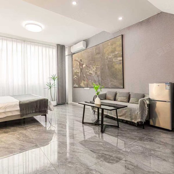 整租｜江夏客厅大花岭~精装一居室商圈环绕~押一付一!带投影 可短租