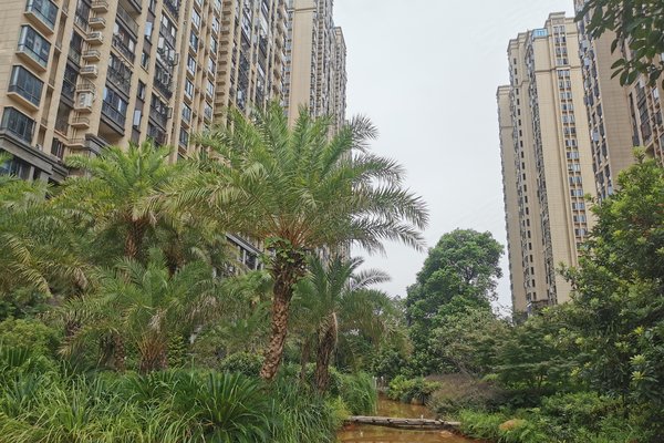 联泰天悦,红谷南大道1888号-南昌联泰天悦二手房,租房-南昌安居客