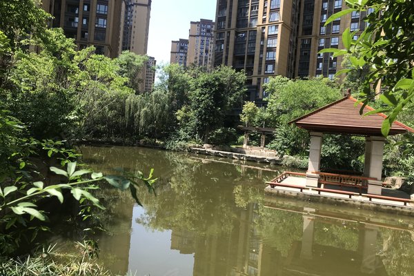 成都小区 近郊小区 简阳市区小区 万峰城a区依云谷 万峰城a区依云谷