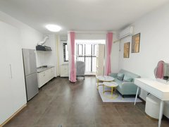 汉口城市广场SOHO公寓 2室1厅1卫  电梯房 45平米