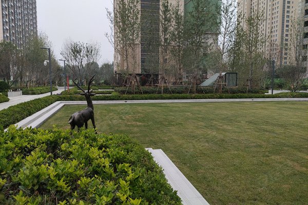 恒信天悦(潍坊),东风东街,近志远路-潍坊恒信天悦(潍坊)二手房,租房