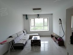 乌鲁木齐新市北京路医学院3室 新出租  房子干净 家具家电齐全  随时可以看出租房源真实图片