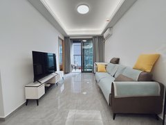 深圳罗湖布心布心地铁口精装南北通两房，全新小区，全齐招租，随时可看出租房源真实图片