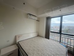 资阳雁江正兴街出租万达公寓49平大户型出租房源真实图片