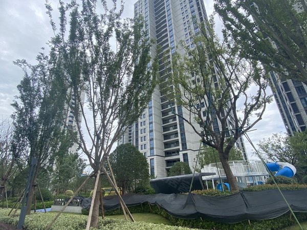 嘉兴海宁长安镇虹运驿府虹运驿府 轻轨口的家 密码锁 精装修 电梯房