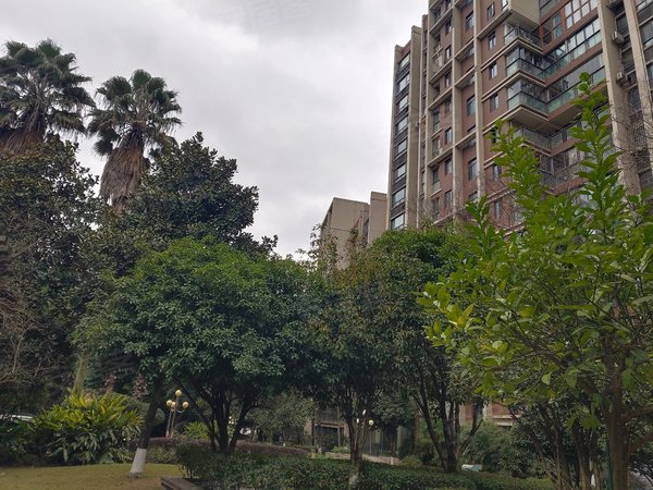 重庆渝北汽博中心保利高尔夫公馆出租保利高尔夫全新精装大平层 装修