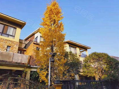 香格里麓山别墅