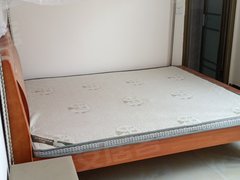 岑溪岑溪城区解放大道 1室0厅1卫出租房源真实图片