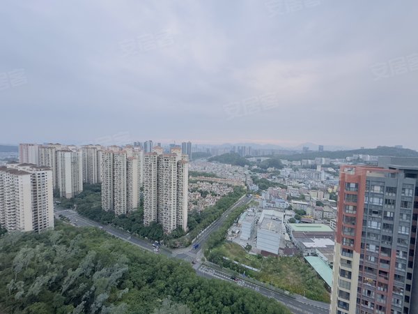 深圳龙岗龙城国际清林半山花园视野无挡全新空房出租万科物业新小区