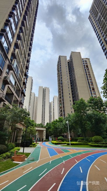 碧桂园凤凰湾听涛苑性价比至高4房业主承担税费价格可谈