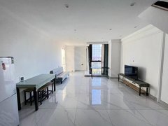 兴安盟乌兰浩特五一广场万达复试精装月租2200 随时看房出租房源真实图片