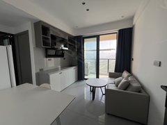 苍南灵溪物资商厦实拍 安澜苑 新区 独门独户 精装出租房源真实图片