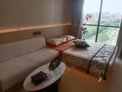 深圳龙华深圳北站奢华大一房精装修拎包入住视野开阔南北通透出租房源真实图片