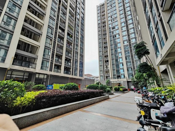 广州花都镜湖大道高晟广场小区随时看房入住 高楼层出租 无异味出租