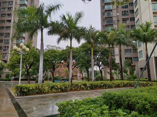 深圳宝安沙井德馨苑新出房源 德馨苑 精装大2房 家电齐全 可以养宠物