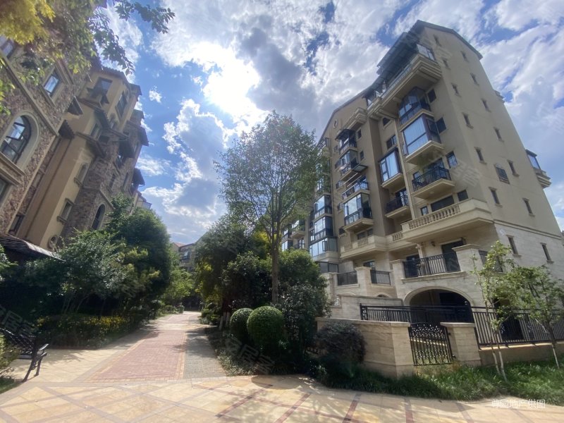 公园1903 空中别墅 带80平3个大露台 湖景房无狄视野