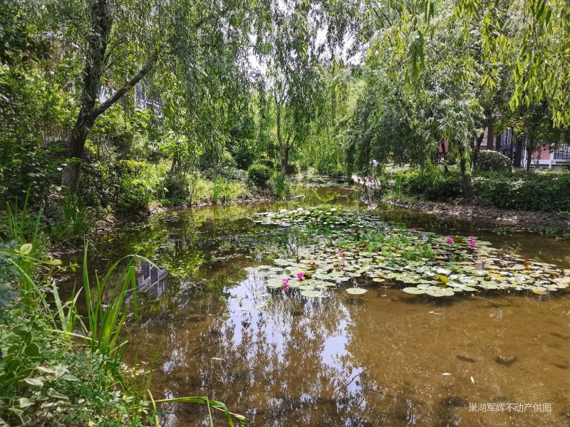 59万 急售 凤凰山庄 全新纯毛坯 一梯二户 电梯中层大