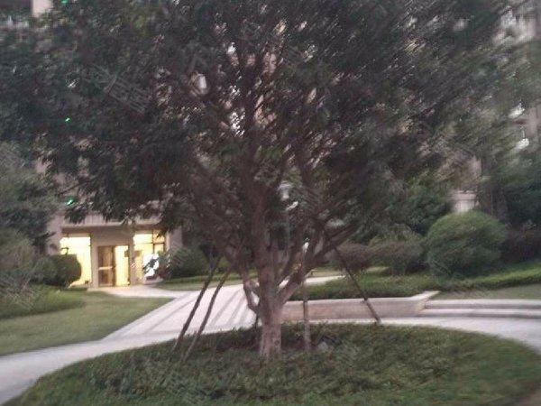 城东租房,柏景湾 精装 两房 高层面向中骏世界城,丰泽租房-泉州58安居