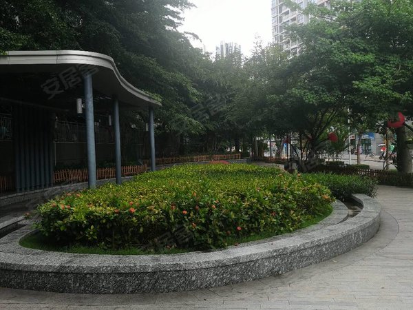 深圳南山大学城崇文花园崇文花园大一房一厅标配出租,东南向,中高楼层