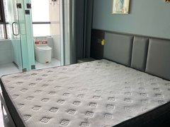 周口川汇东新区急租！可短租押一付一景园合租房独立空间投影仪拎包入住出租房源真实图片