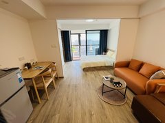 上海闵行浦江首月房租减半。8号线近地铁出租房源真实图片