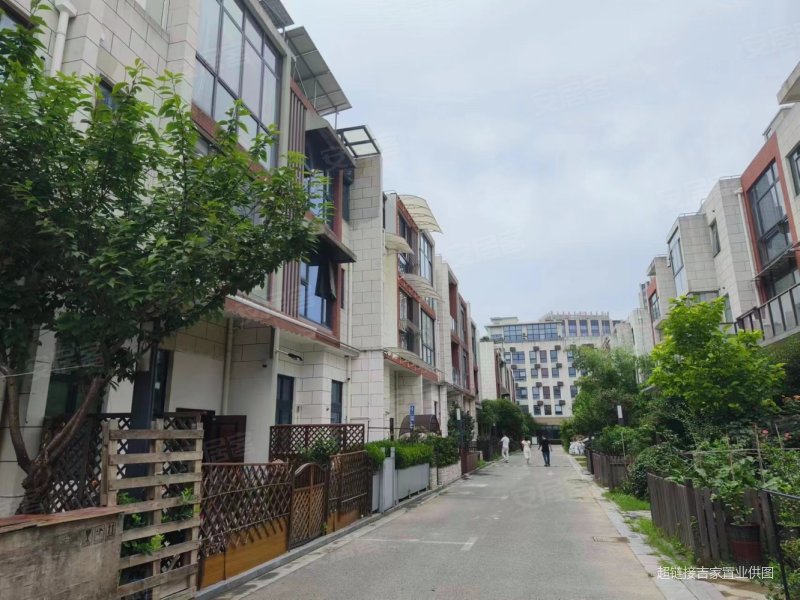 南翔联排别墅200平大花园送子母双车位人人可买随时看房